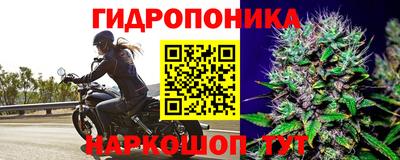 прущие крисы Кимры
