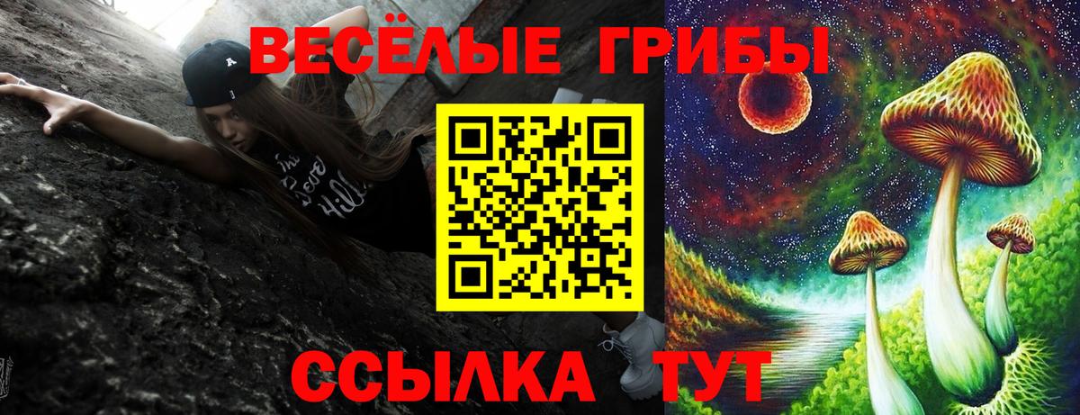 Галлюциногенные грибы прущие грибы Красноуфимск