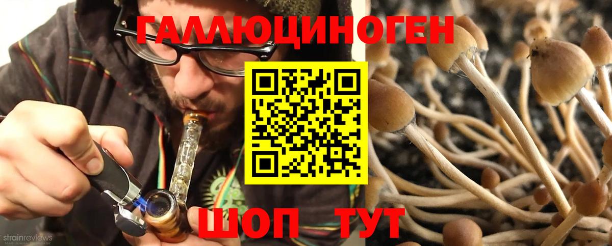 Галлюциногенные грибы ЛСД  Галлюциногенные грибы Psilocybine cubensis  Вход с VPN  Красноуфимск 