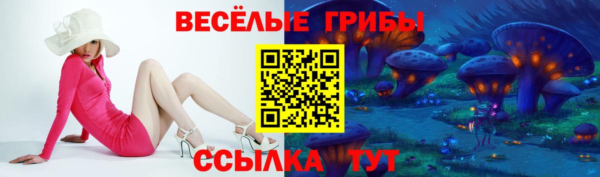 Псилоцибиновые грибы Красноуфимск
